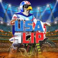 USA Flip screenshot